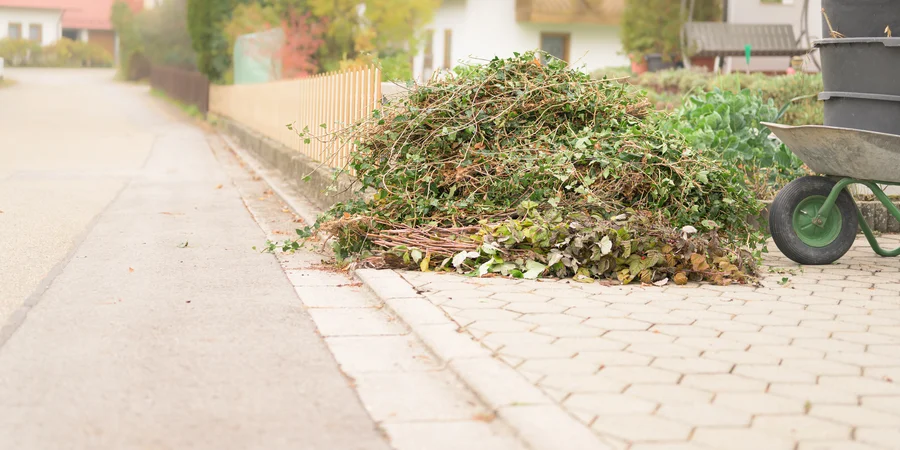 Expert Bush Removal Hanford, CA