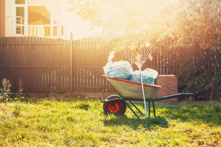 The Benefits Of Professional Yard Cleanup For Homeowners in Hanford, CA