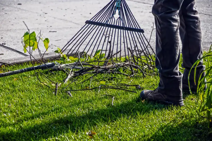The Importance Of Professional Bush Removal For Property Safety Hanford, CA