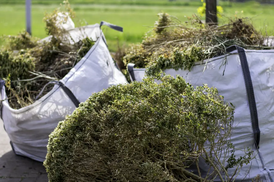 What To Consider Before Scheduling Bush Removal Services Hanford, CA